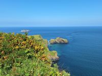 Carrick-A-Reede