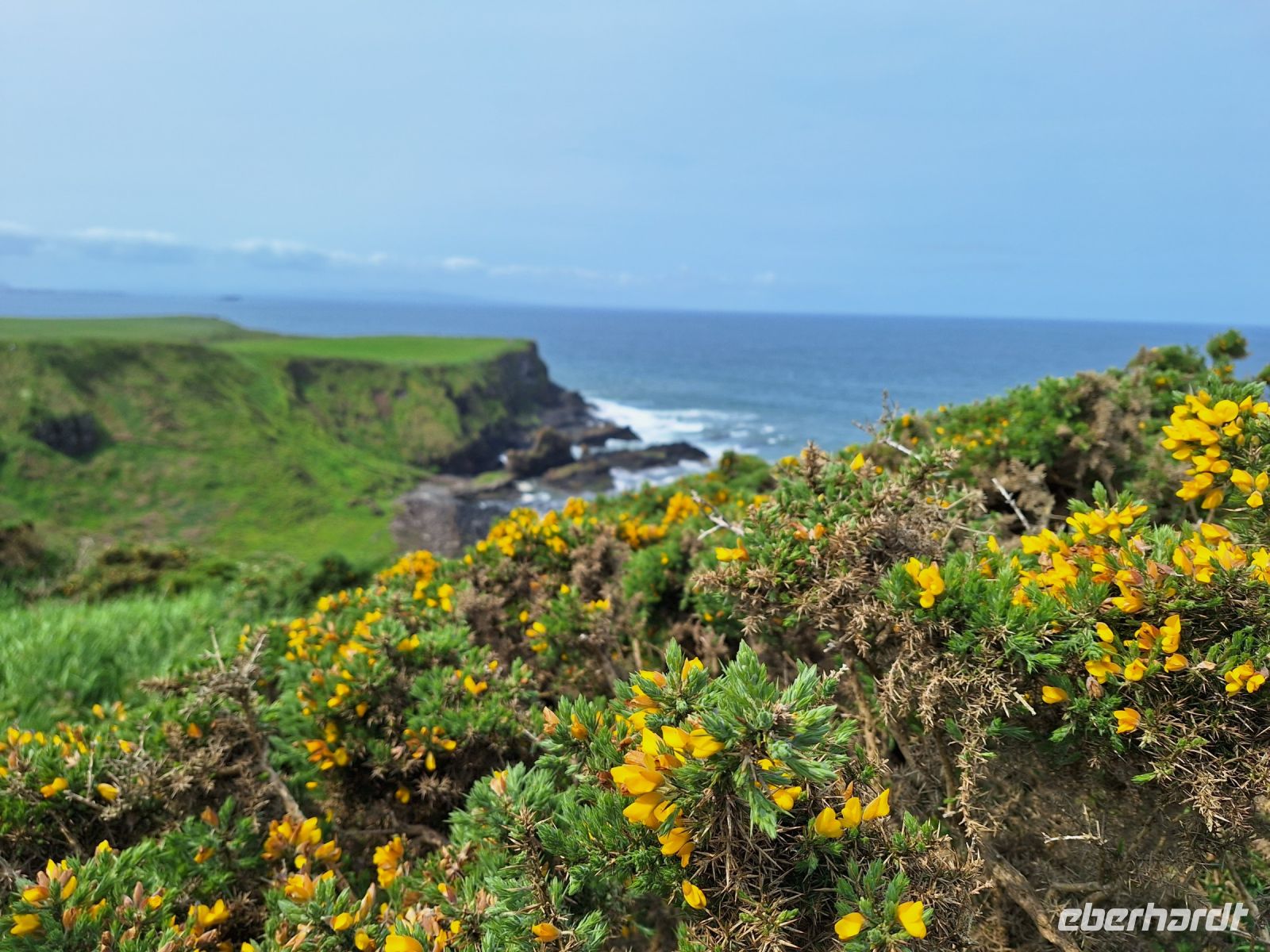 Giants Causeway