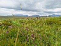 Ballycroy Nationalpark
