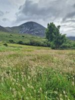 Croagh Patrick