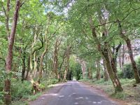 Kylemore Abbey Gardens