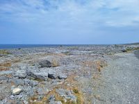 Burren