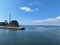 Fähre über den Shannon