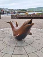 Delfin Fungi in Dingle Town