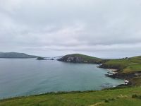 Blasket View