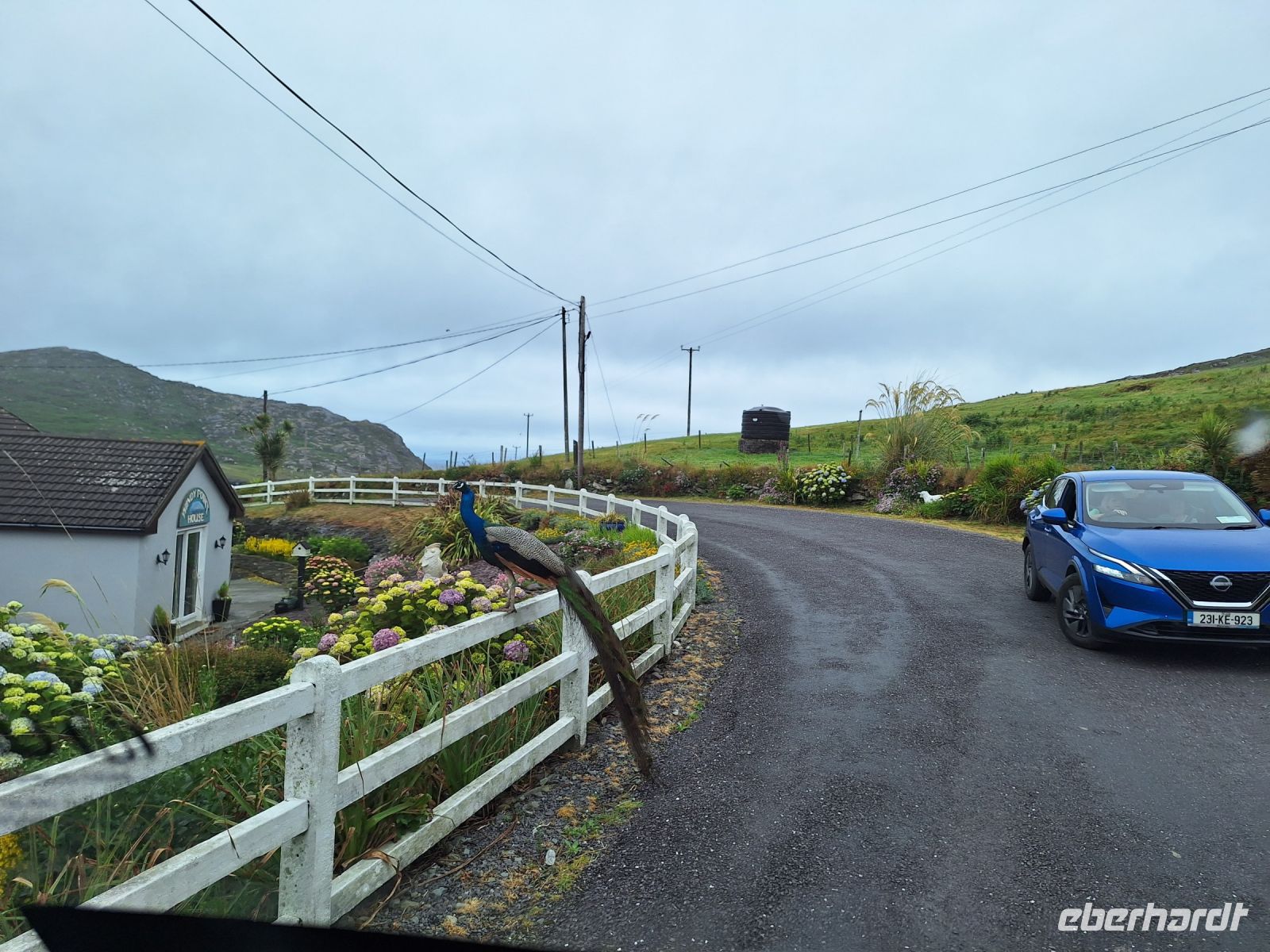 Ungewöhnliche Begegnung