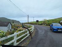 Ungewöhnliche Begegnung