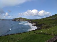030-Dunguin Dingle