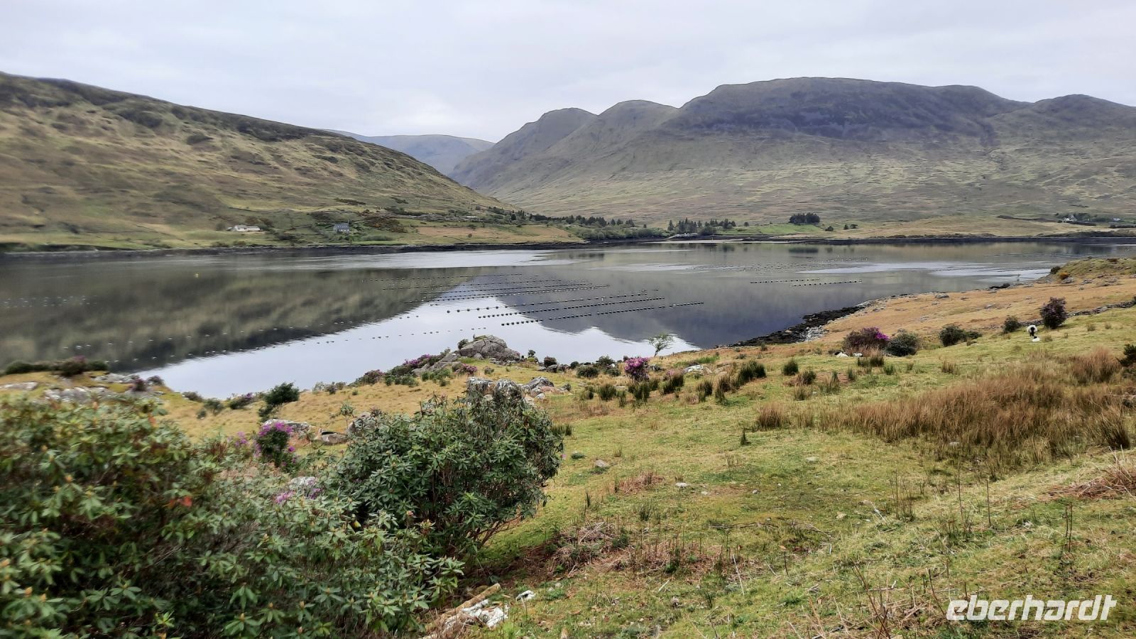 2 Connemara unterwegs.