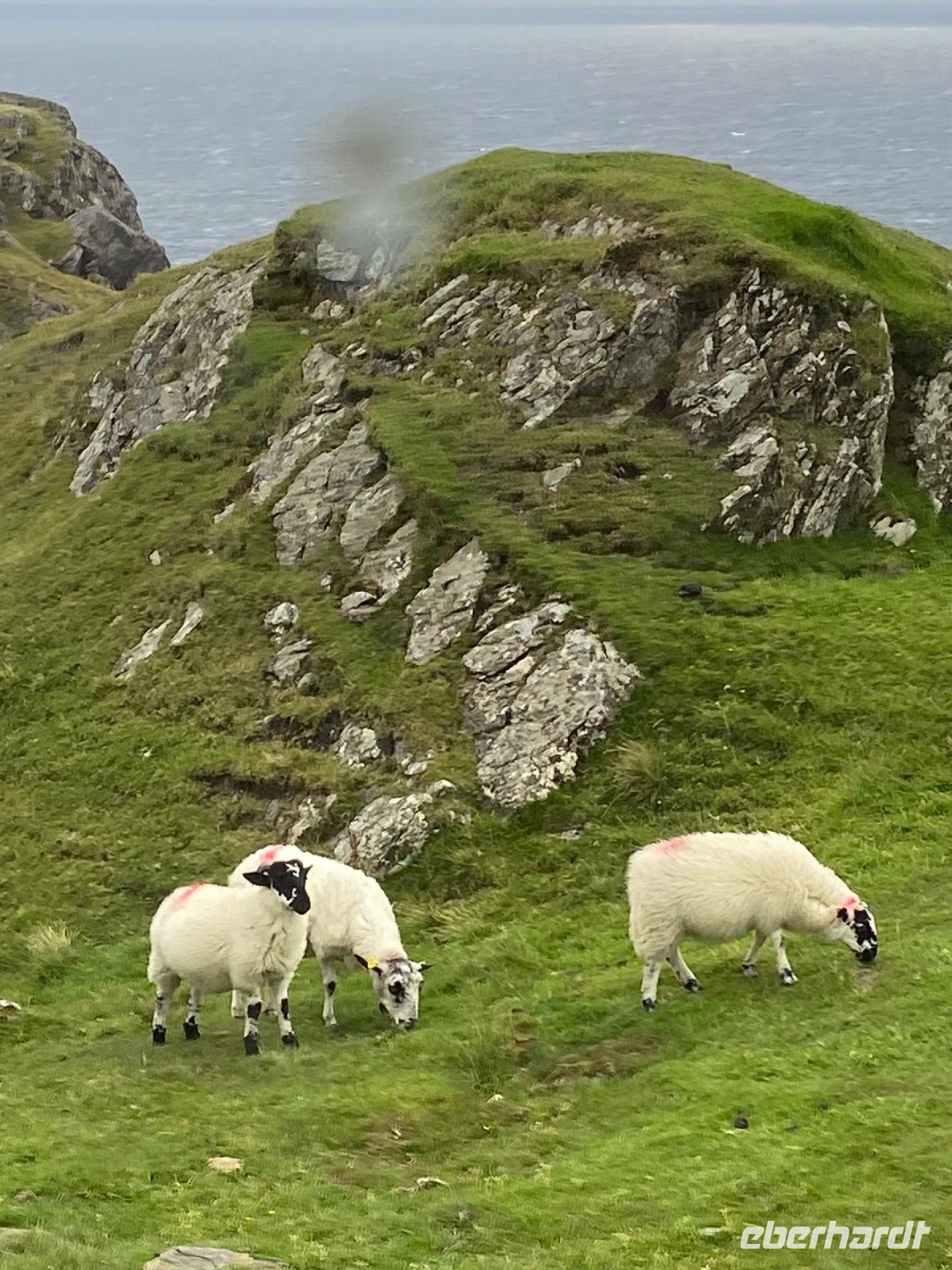 irische Landschaften