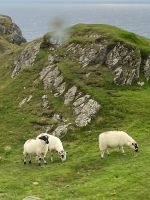 irische Landschaften