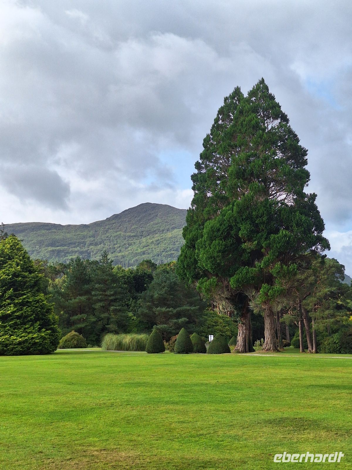 Muckross Garden