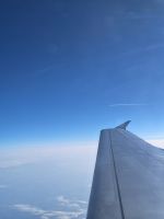 Begleitung auf dem Flug.....