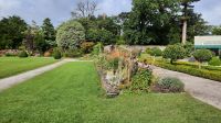 Muckross Garden