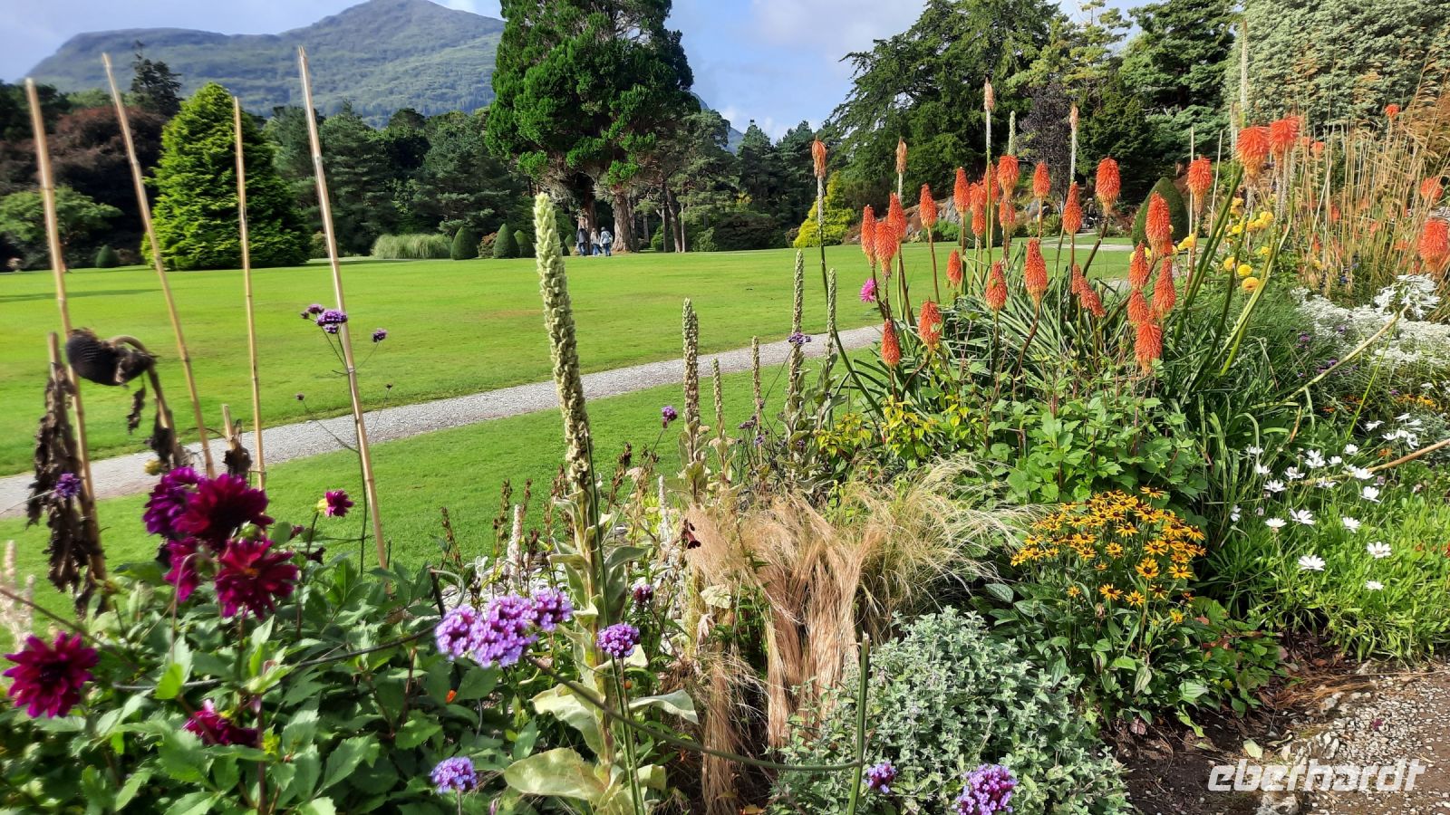 Muckross Garden