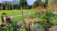 Muckross Garden