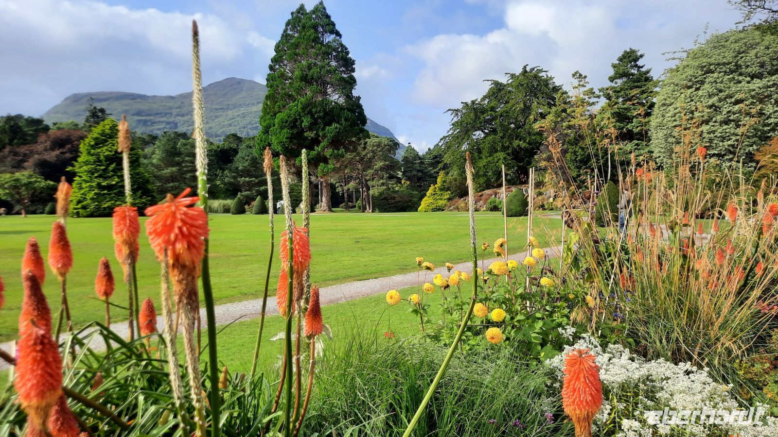 Muckross Garden