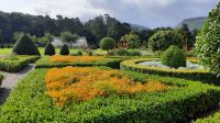 Muckross Garden