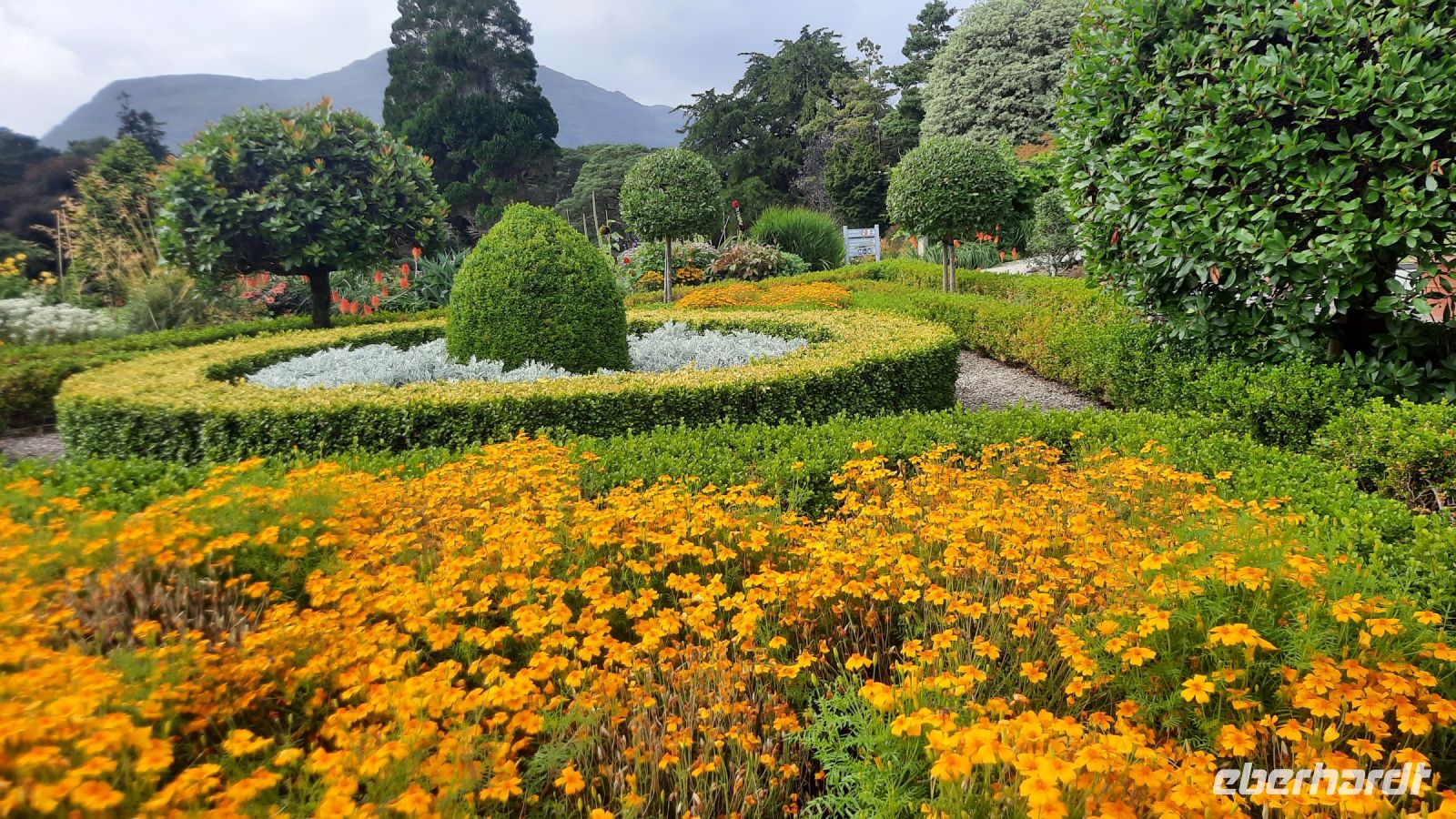 Muckross Garden