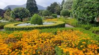Muckross Garden
