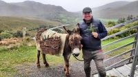Paddy with the Donkey