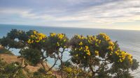 12 - Wanderung bei Howth