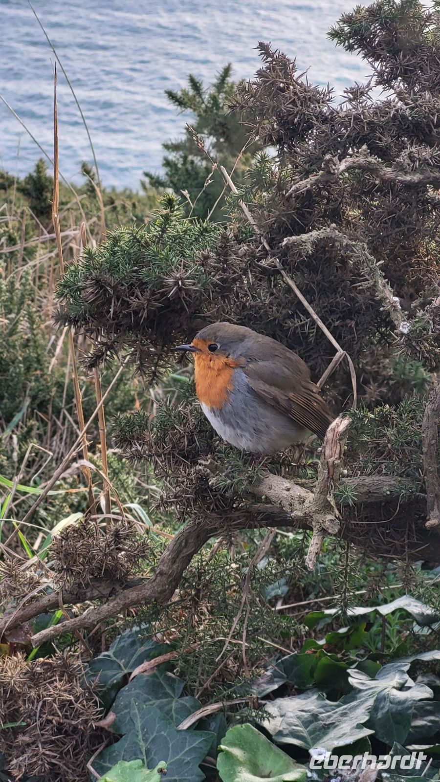 15 - Wanderung bei Howth