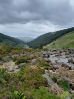 Tag 3 Wicklow Mountains.jpg