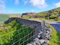 Tag 7 Cork & Kerry Mountains 2.jpg