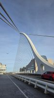 098 - Samuel Beckett Bridge in Dublin