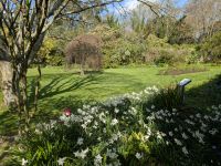 Malahide Park &ndash; &copy; Walter Neuwirth (Eberhardt TRAVEL)