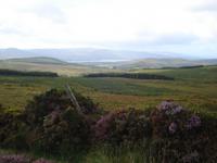 Landschaft Old Kenmare Road