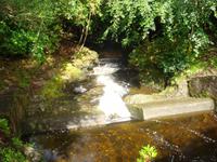 Beginn Torc Wasserfall