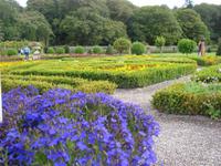 Parkanlage Muckross House