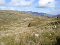 Old Kenmare Road Landschaft