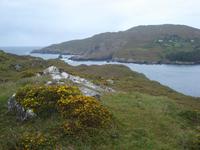 Zwischen Beara und Bere Island
