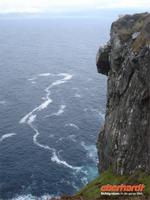 Sheeps Head Nordküste