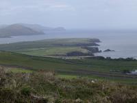 Dingle 