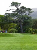 Muckross Park