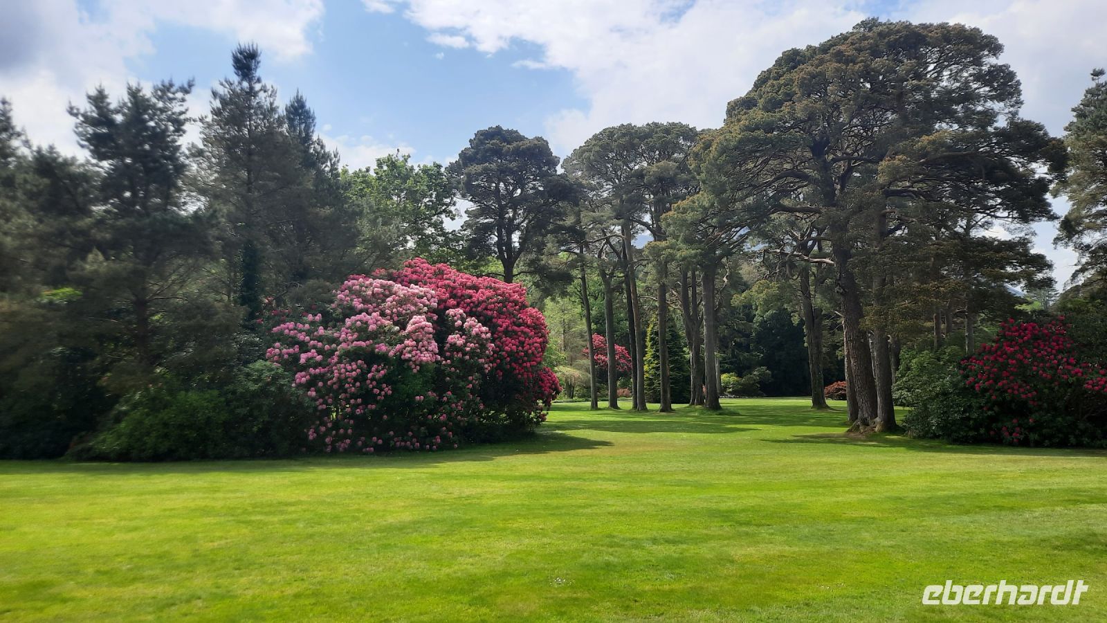 6 Muckross Garden d