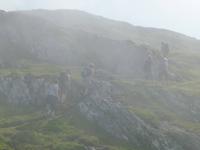 Wanderung Dursey -Ballydonegan