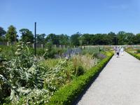Dublin - Phoenix Park - Victorian Walled Garden