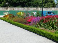Dublin - Phoenix Park - Victorian Walled Garden