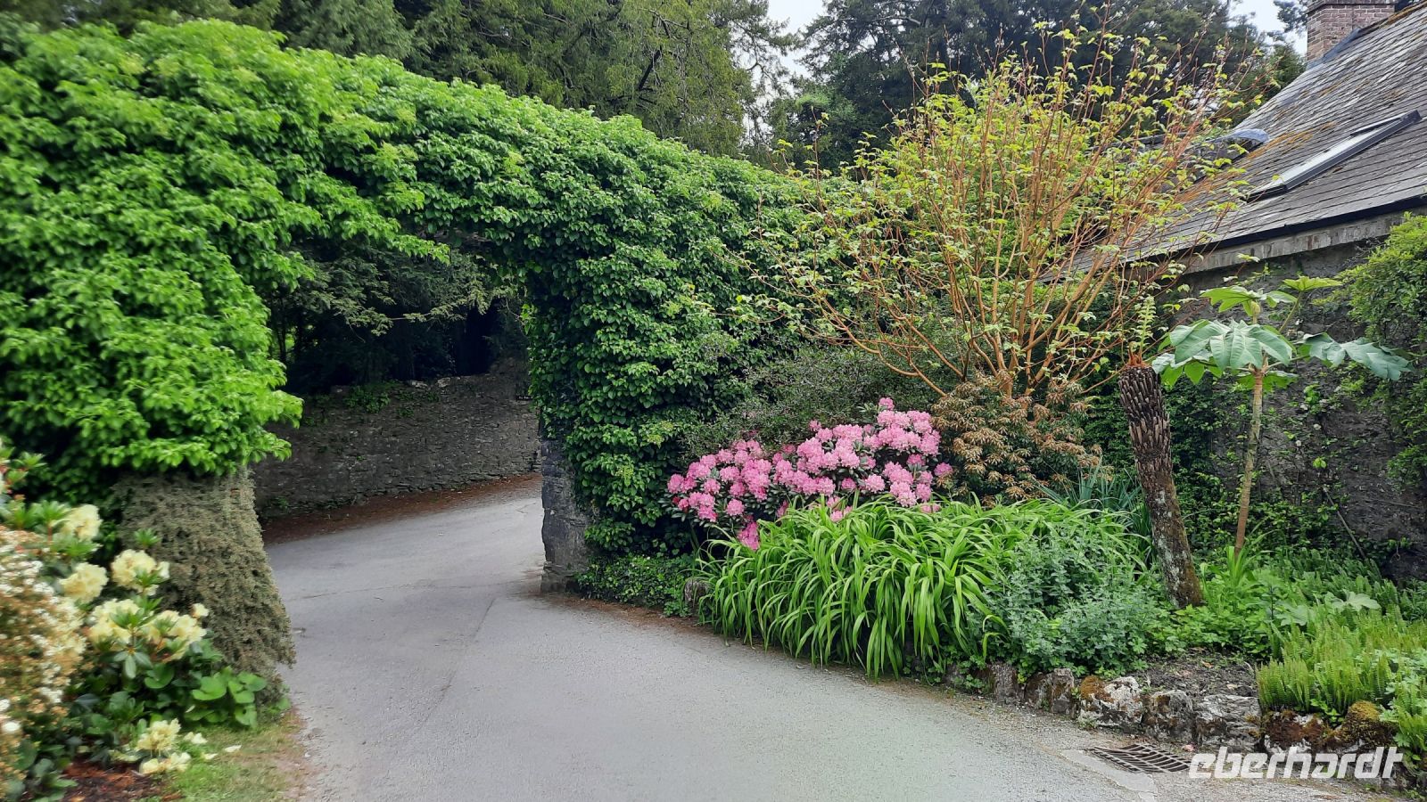 7 Blarney Castle Torbogen