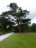 Muckross Park
