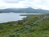 Bere Island