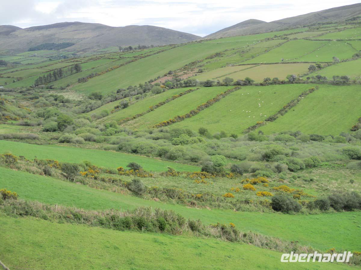 Landschaft bei Anascaul