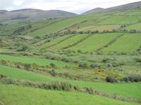 Landschaft bei Anascaul