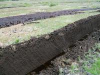 Frischer Torfstich bei Waterville