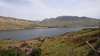Am Fjord Killary Harbour